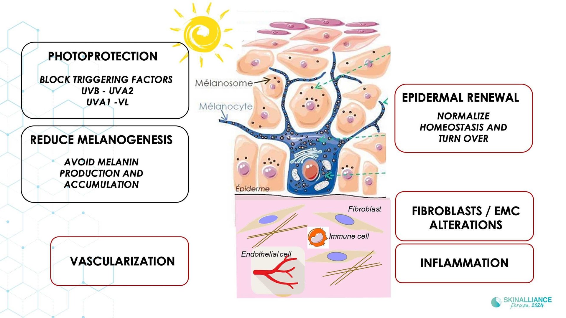 New insights in the physiopathology of hyperpigmentation and clinical impact