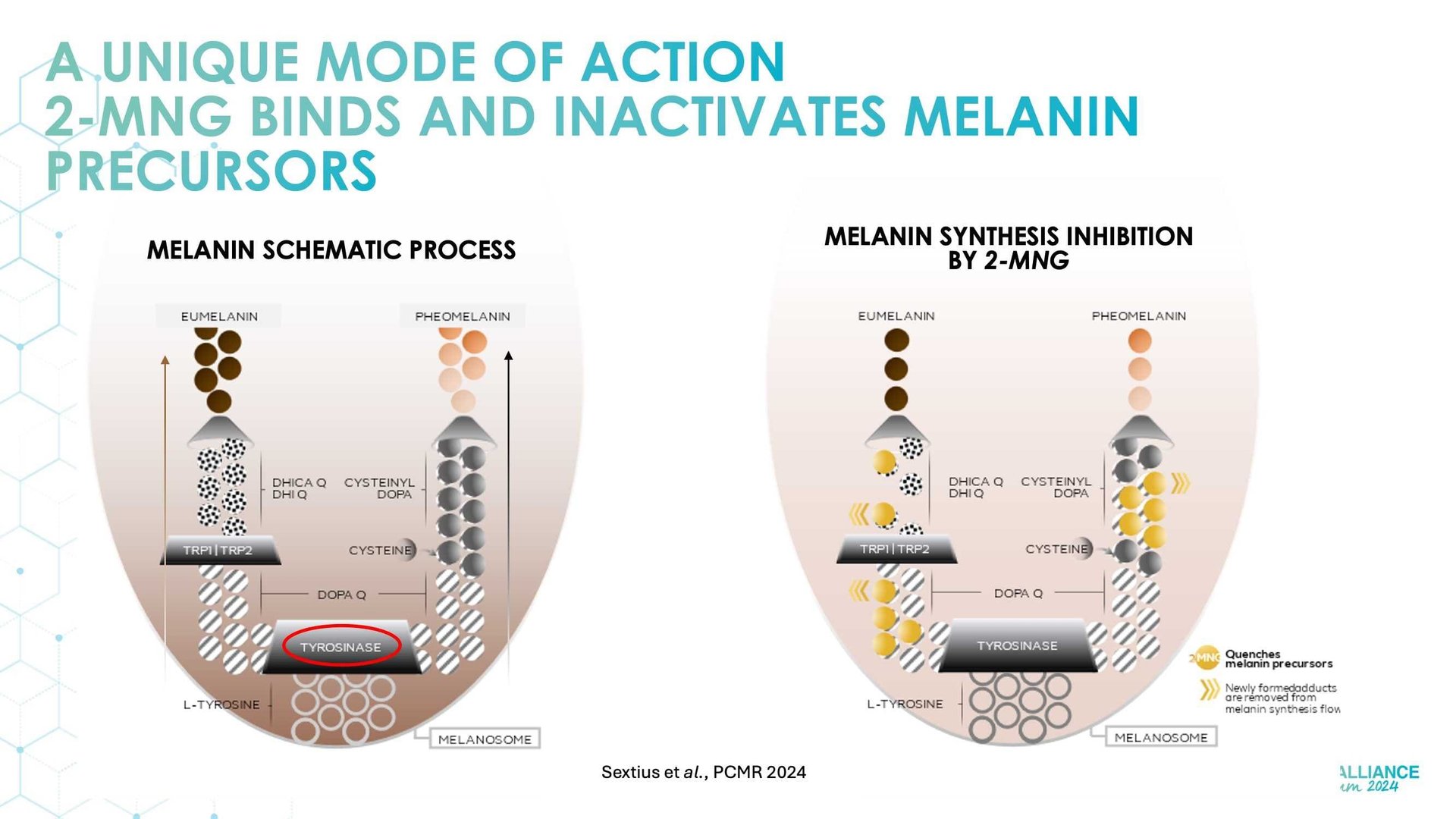 New topical agent for hyperpigmentation management
