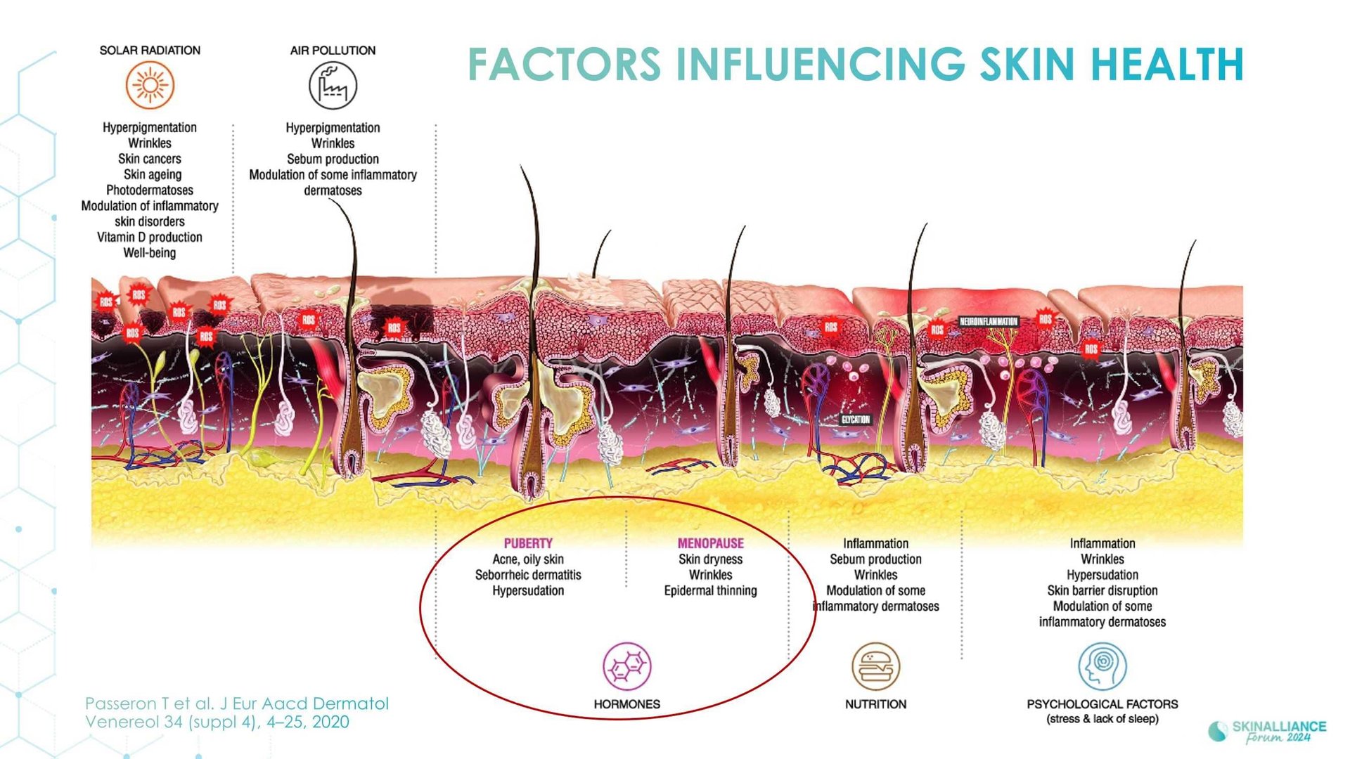 Skin conditions variations related to women's hormonal changes