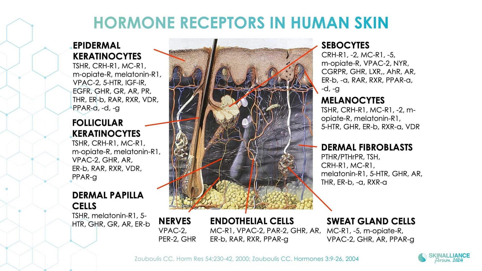 Skin conditions variations related to women's hormonal changes