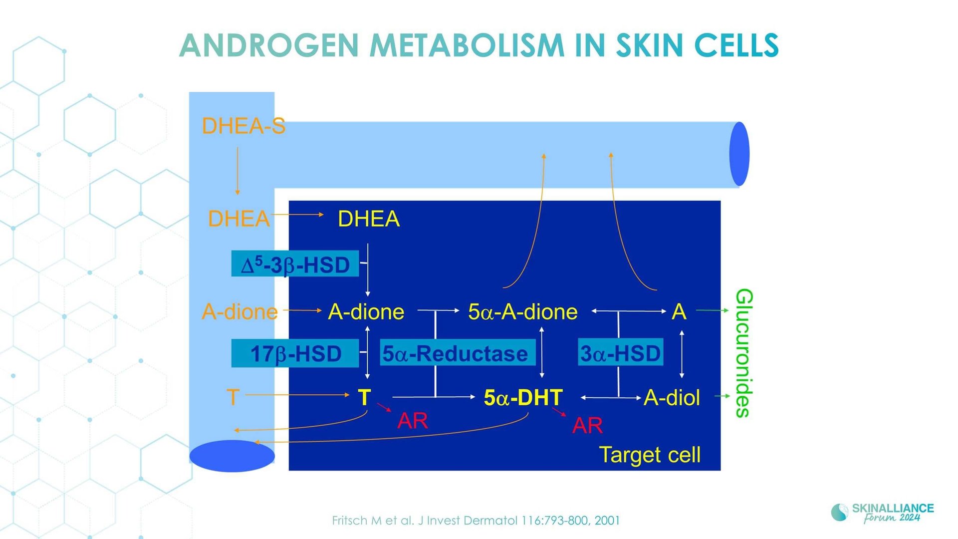 Skin conditions variations related to women's hormonal changes