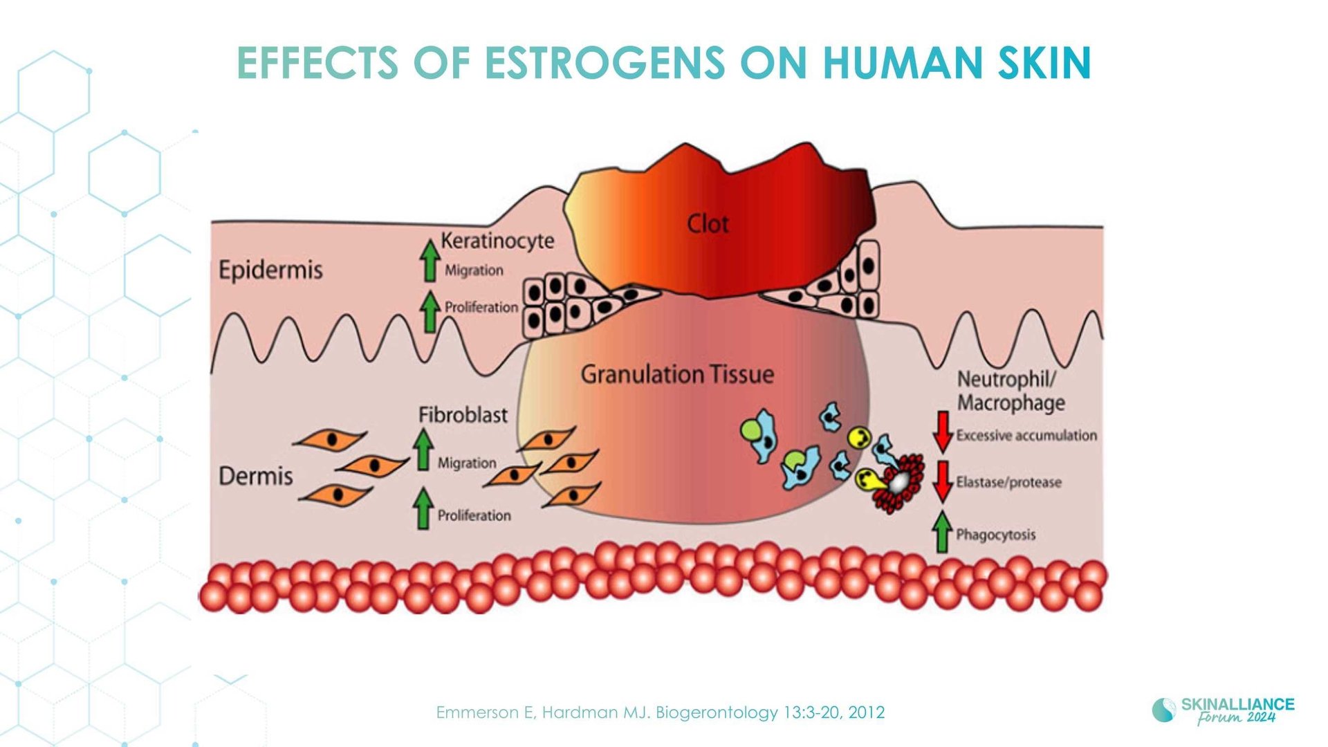Skin conditions variations related to women's hormonal changes