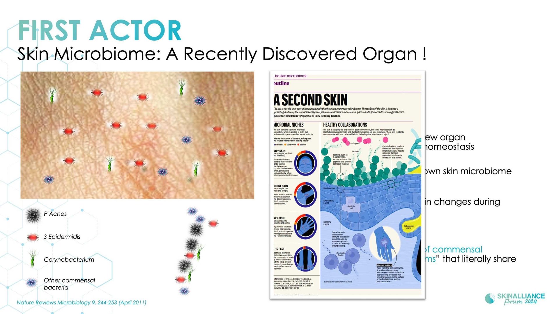 The skin microbiome: what's new?