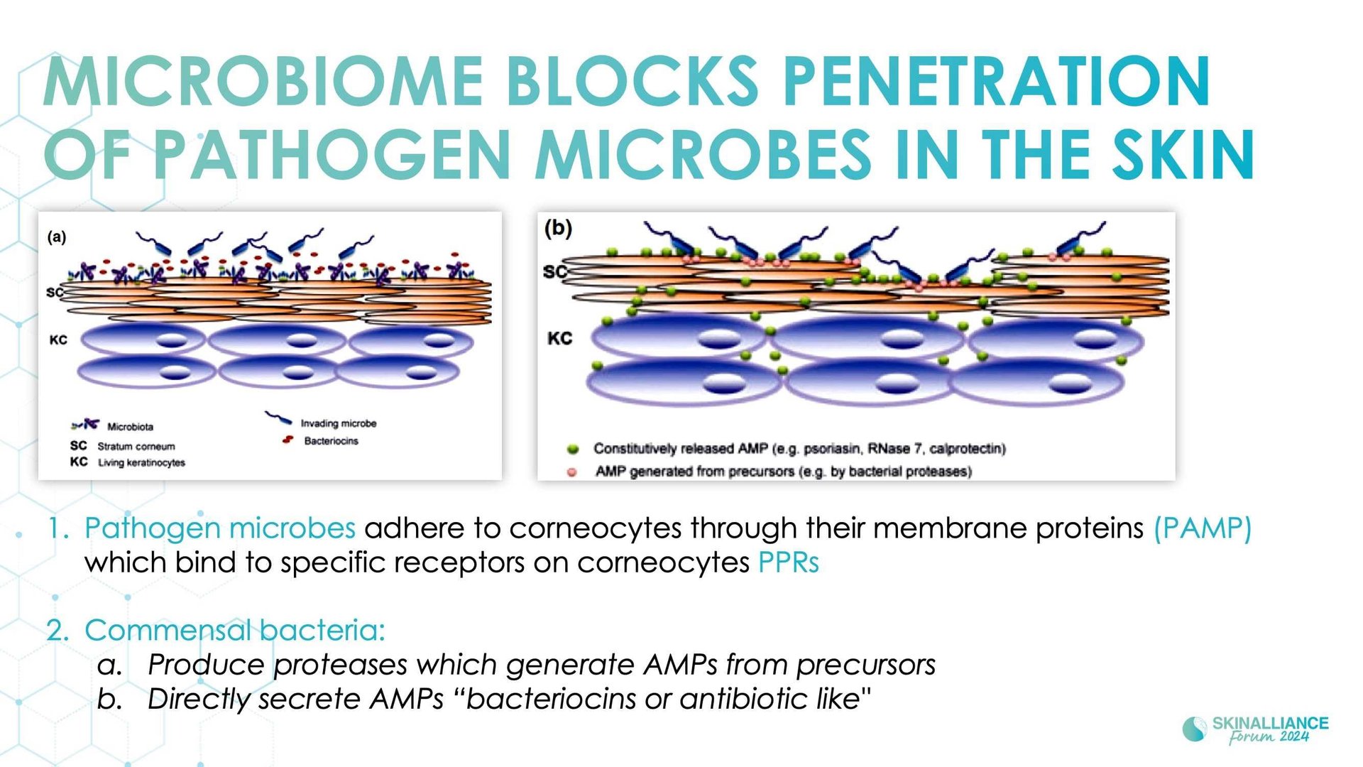 The skin microbiome: what's new?