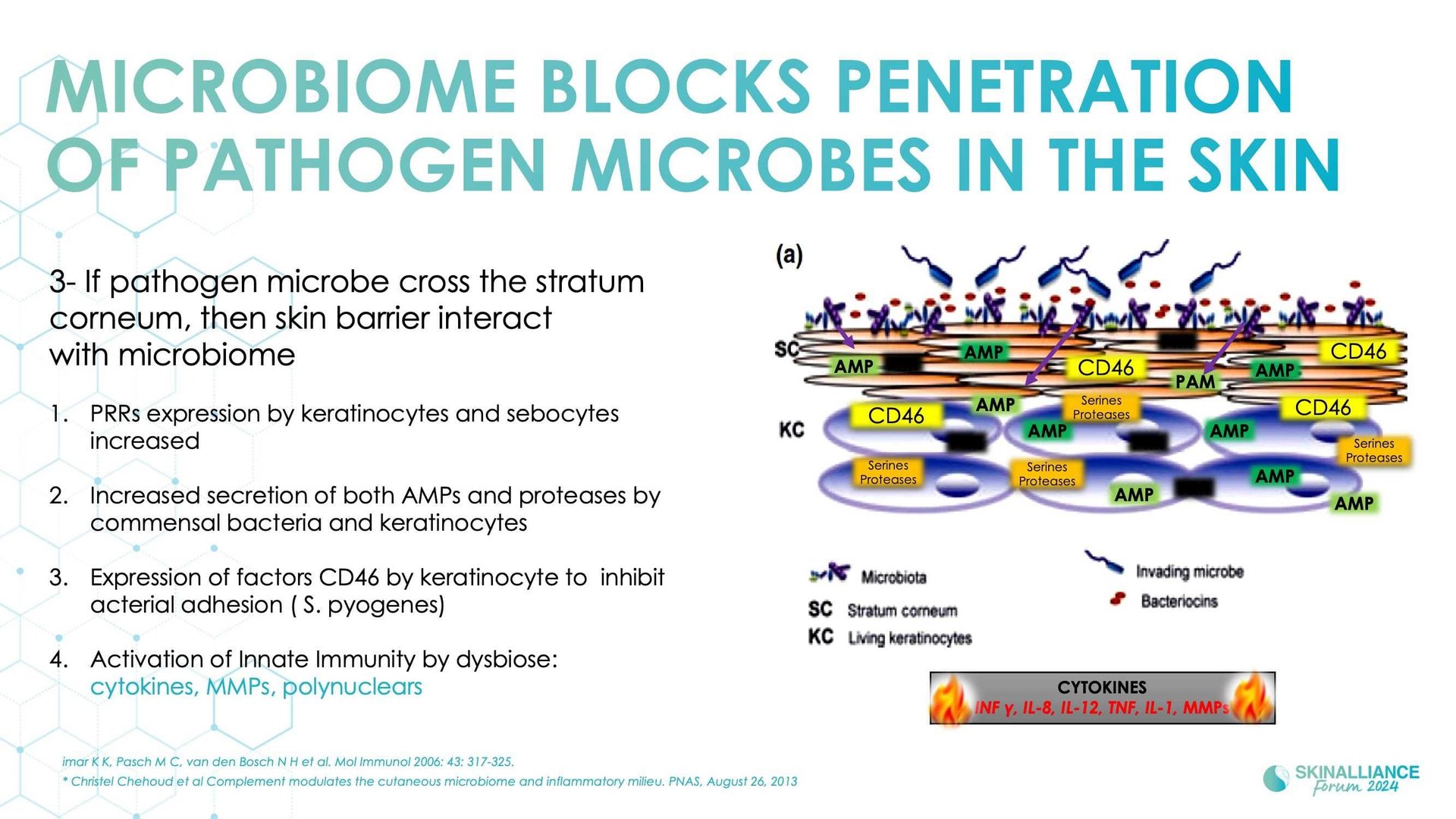 The skin microbiome: what's new?