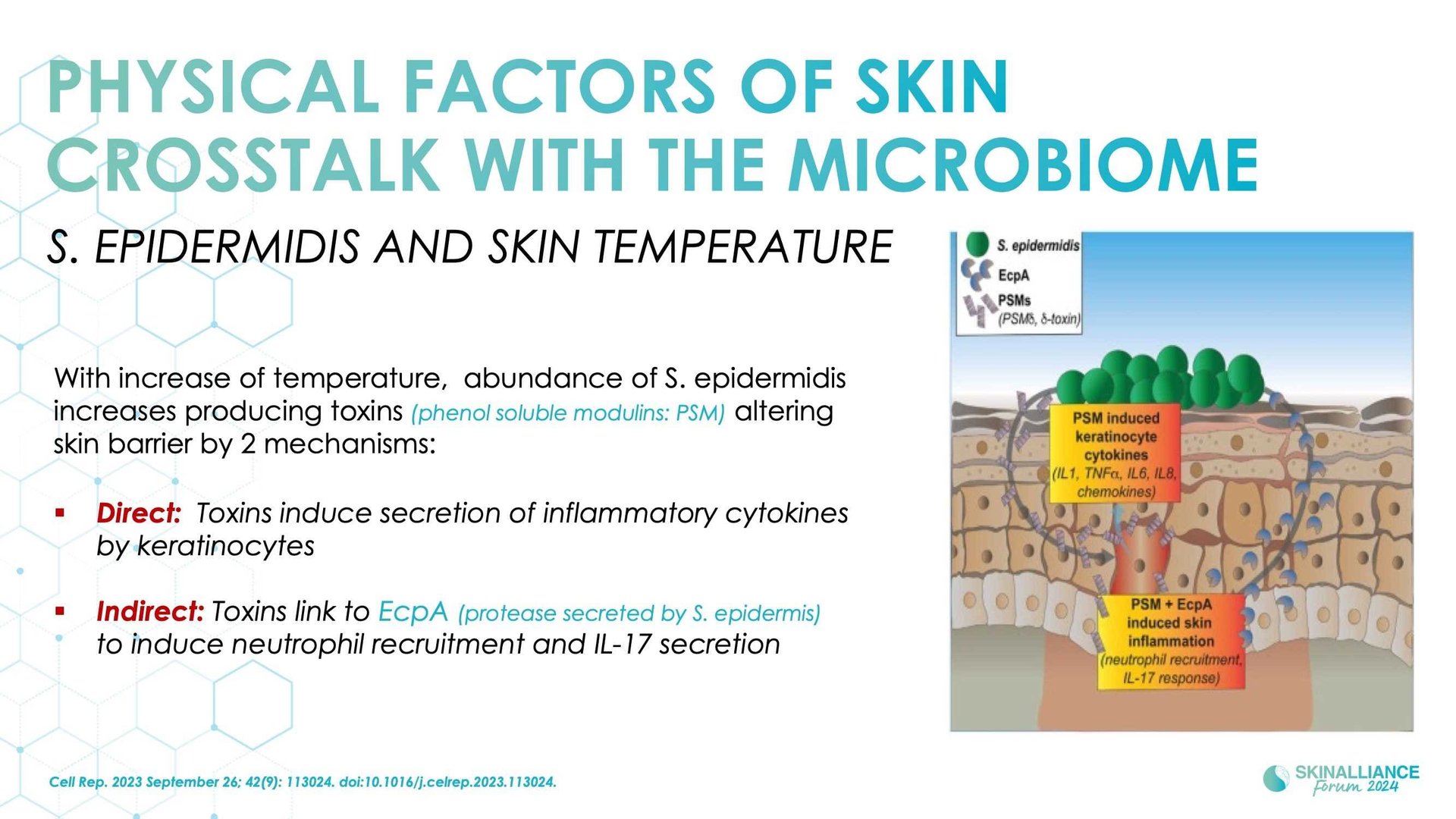 The skin microbiome: what's new?