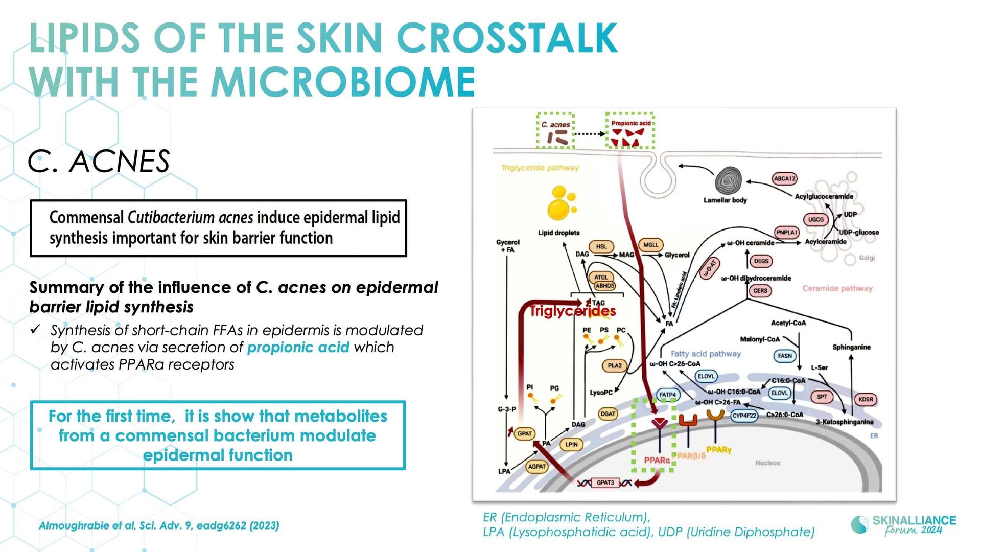 The skin microbiome: what's new?