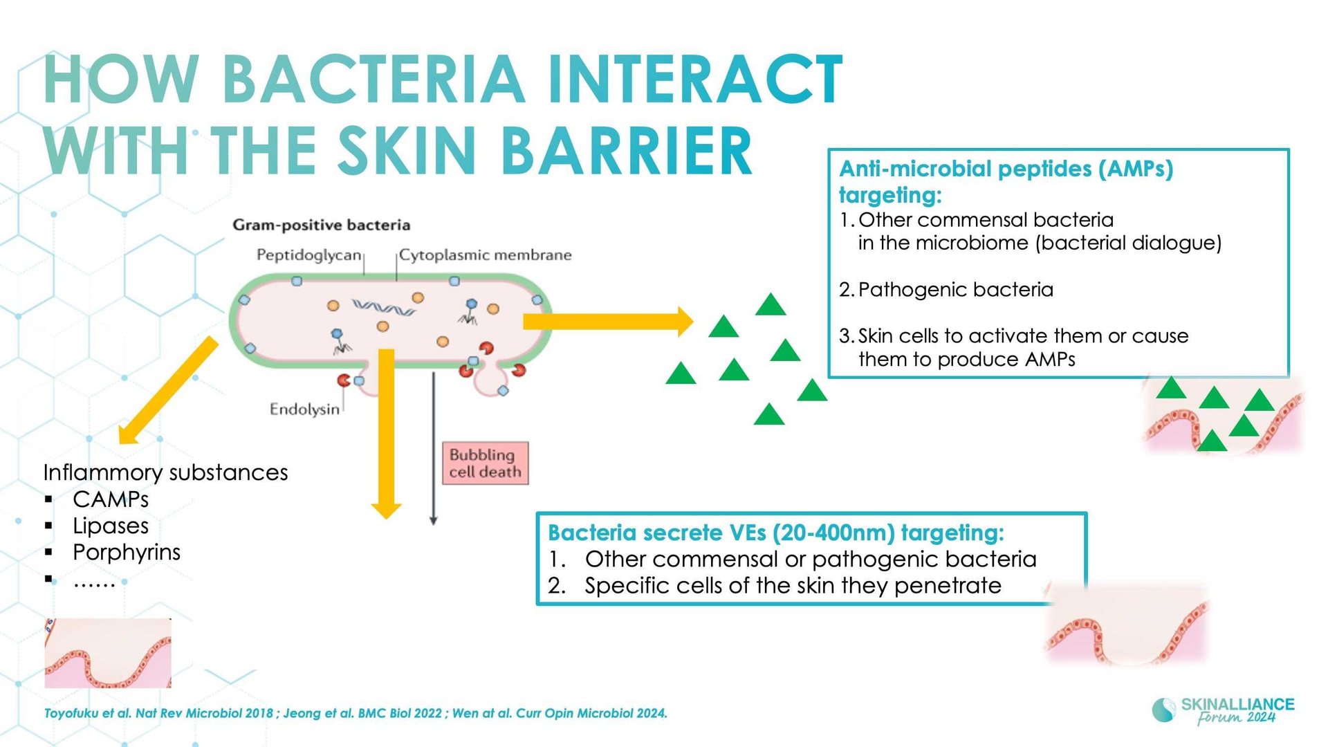 The skin microbiome: what's new?
