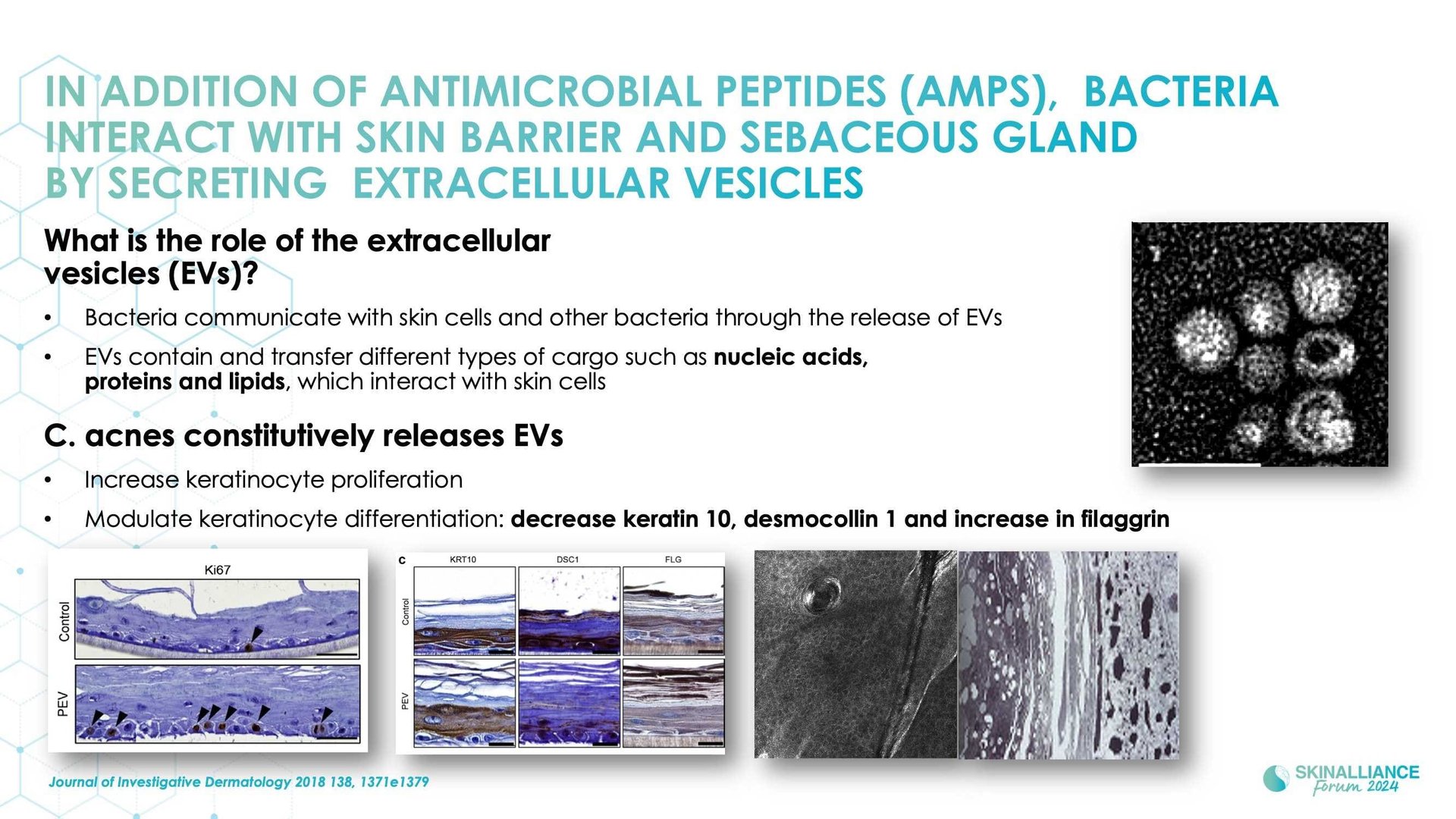 The skin microbiome: what's new?