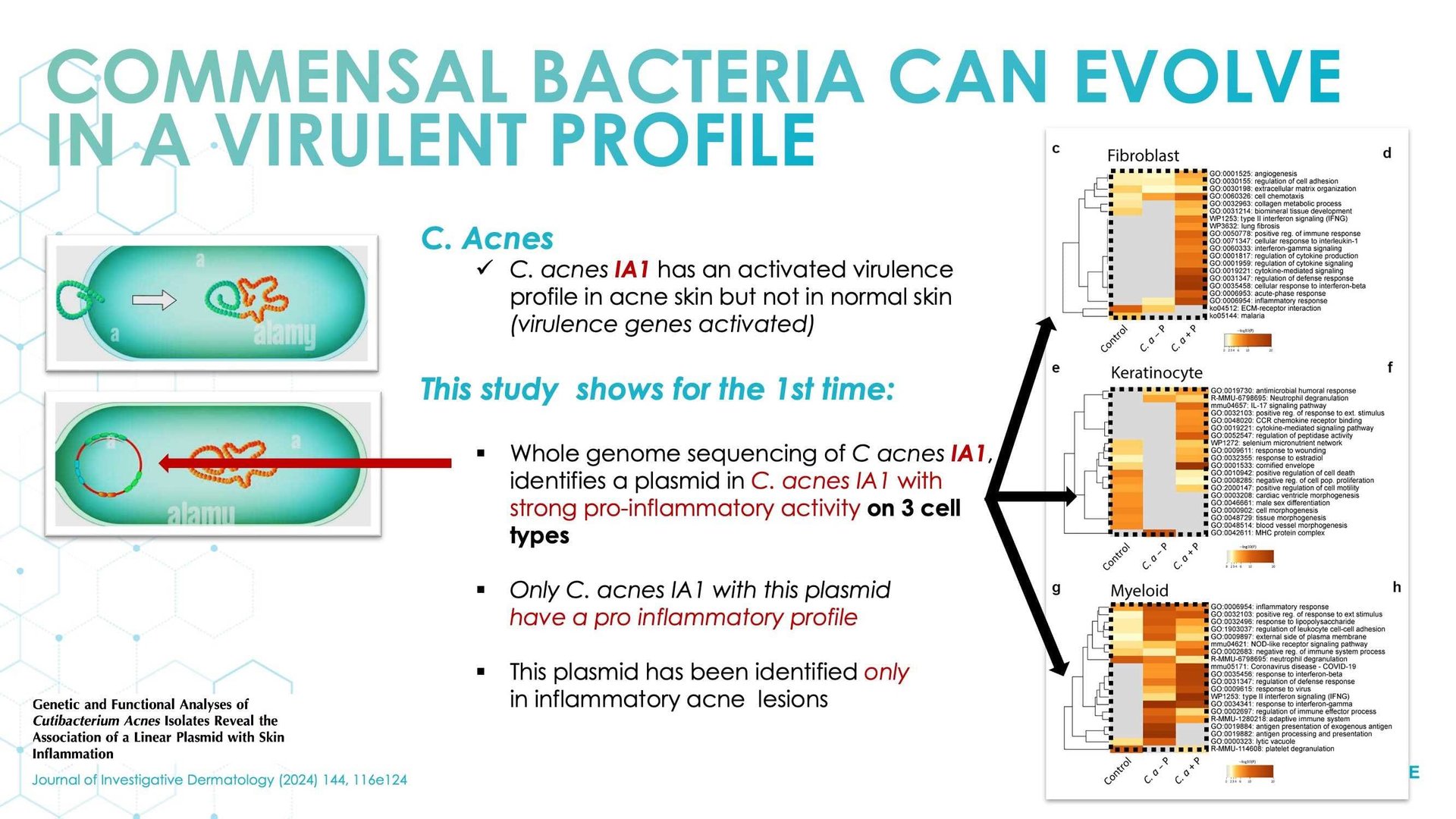 The skin microbiome: what's new?