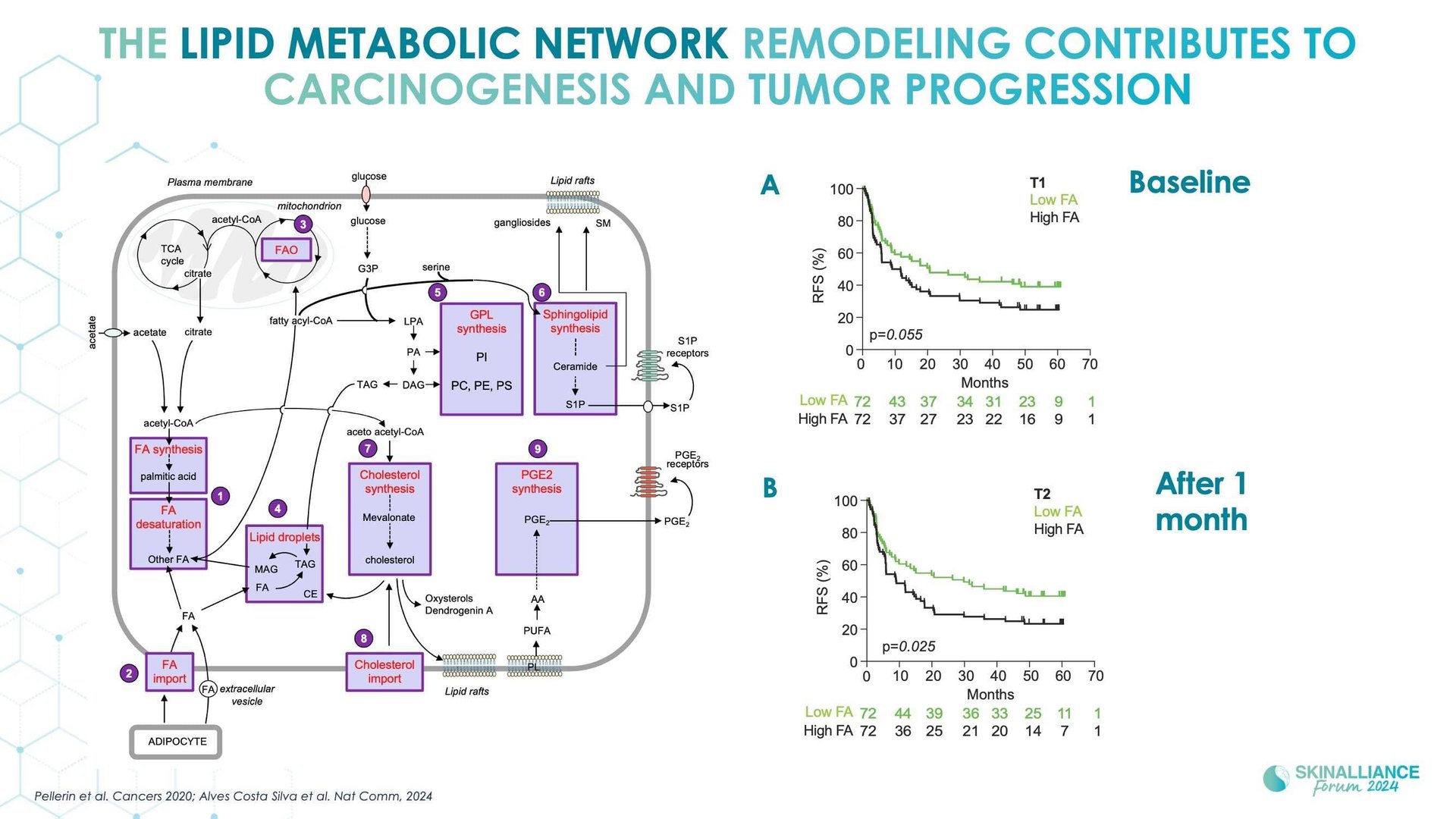Microbiome transplantation in skin cancer