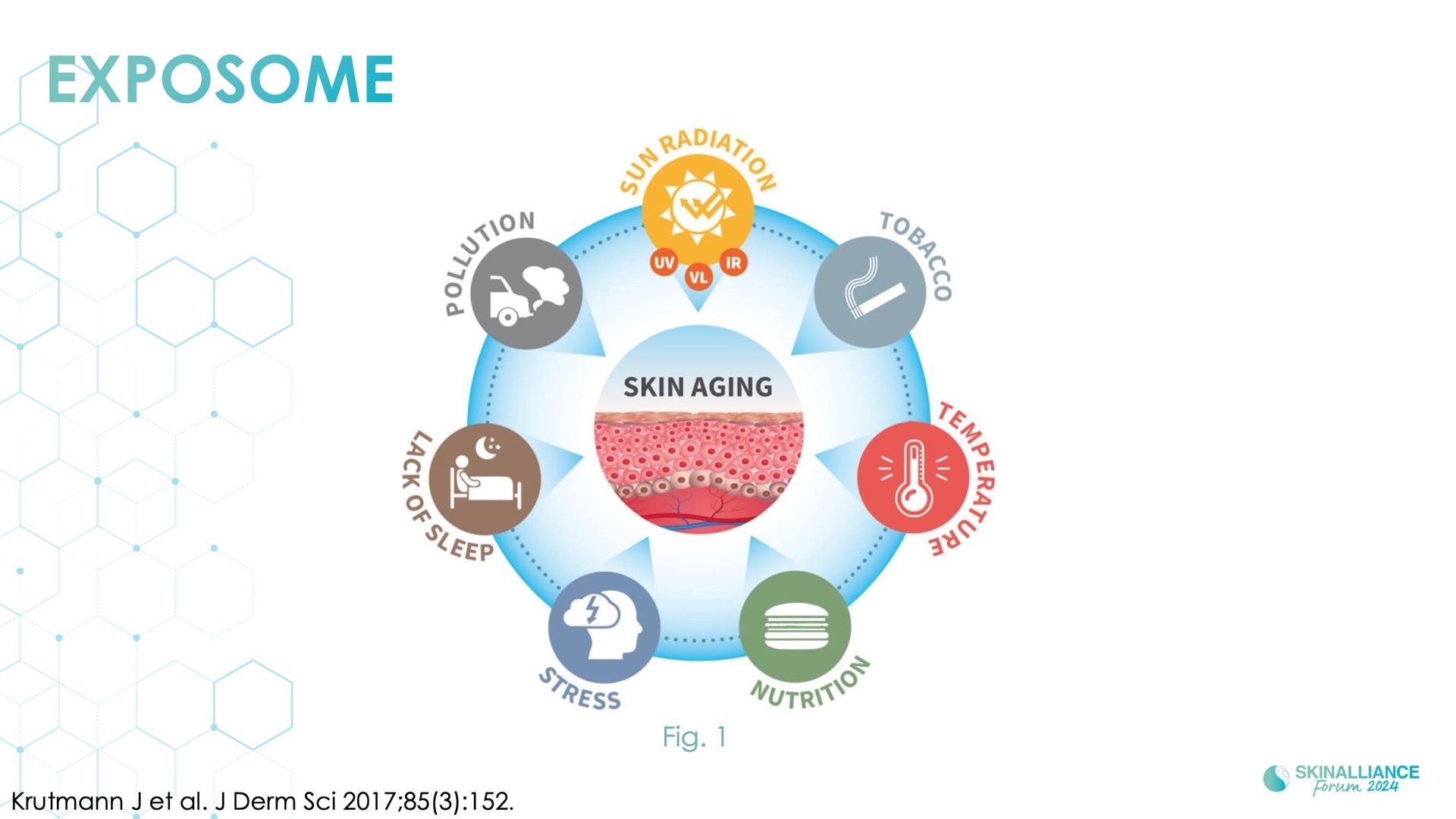 Topical antioxidant ingredients