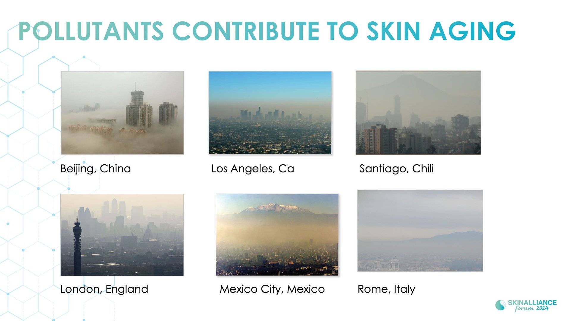 Topical antioxidant ingredients