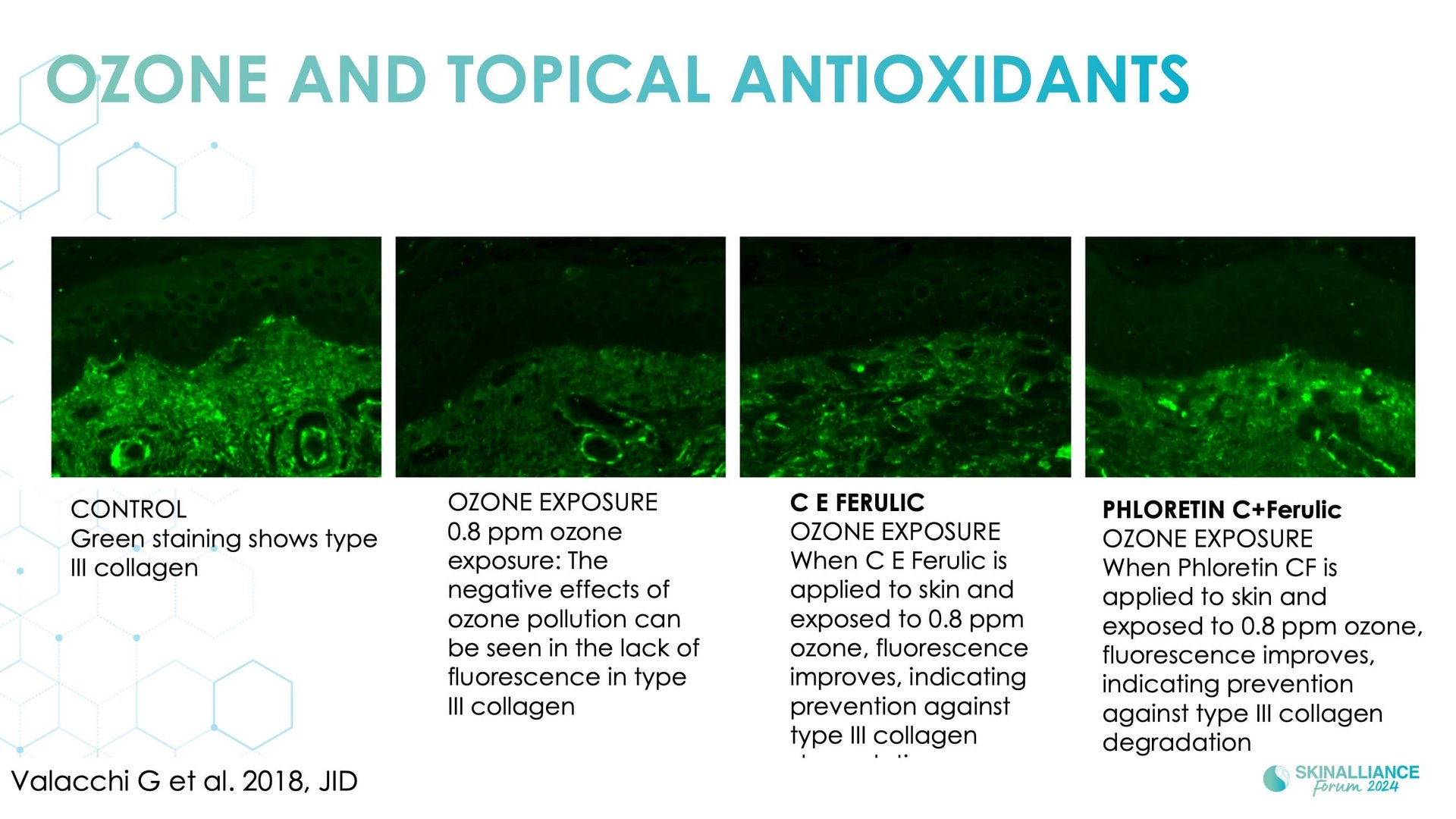 Topical antioxidant ingredients