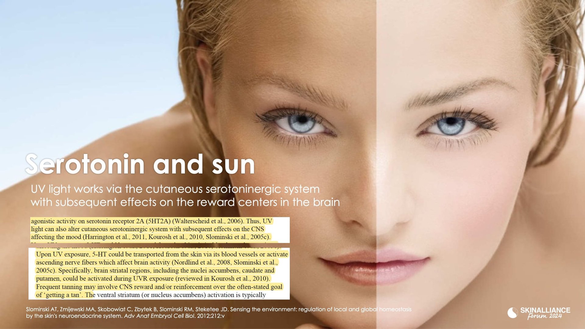 Novel peptides / Anti-ageing ingredients