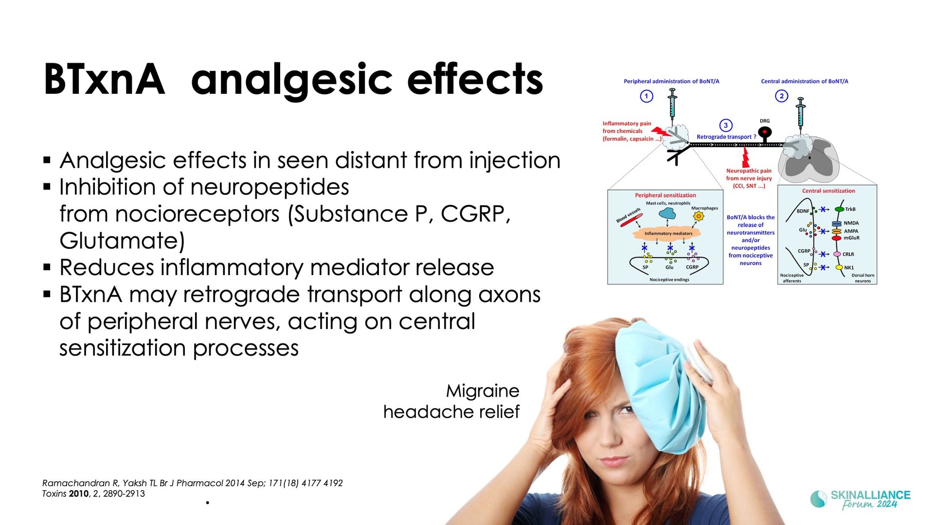 Novel peptides / Anti-ageing ingredients