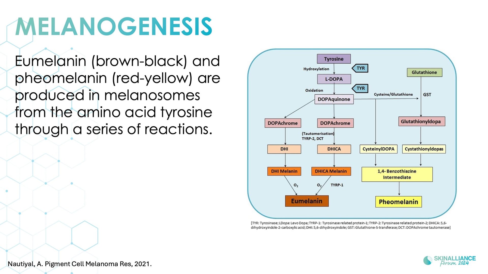 Discoloration ingredients