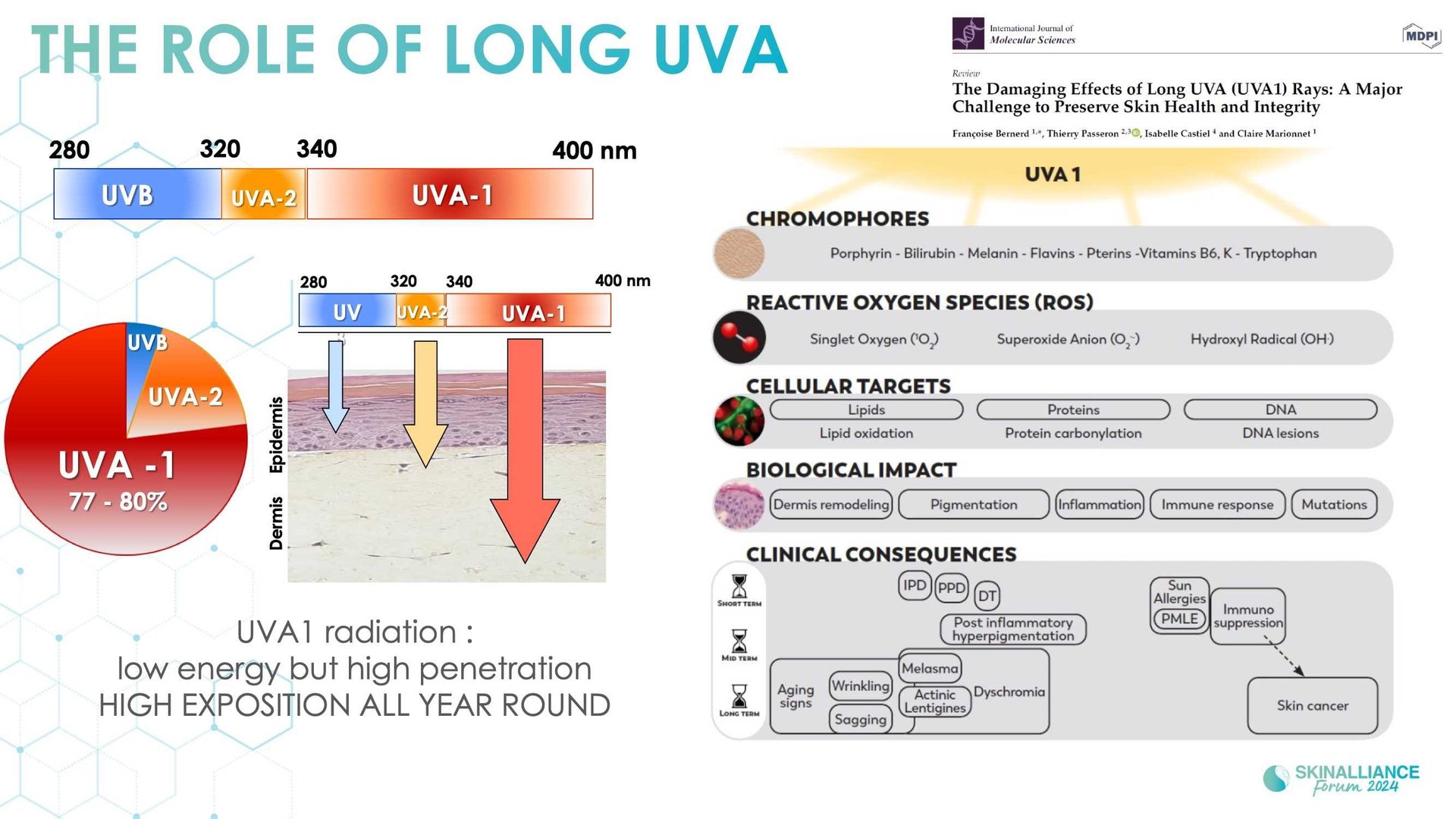 Innovating in photoprotection integrating long UVA, visible light, and skin colour diversity