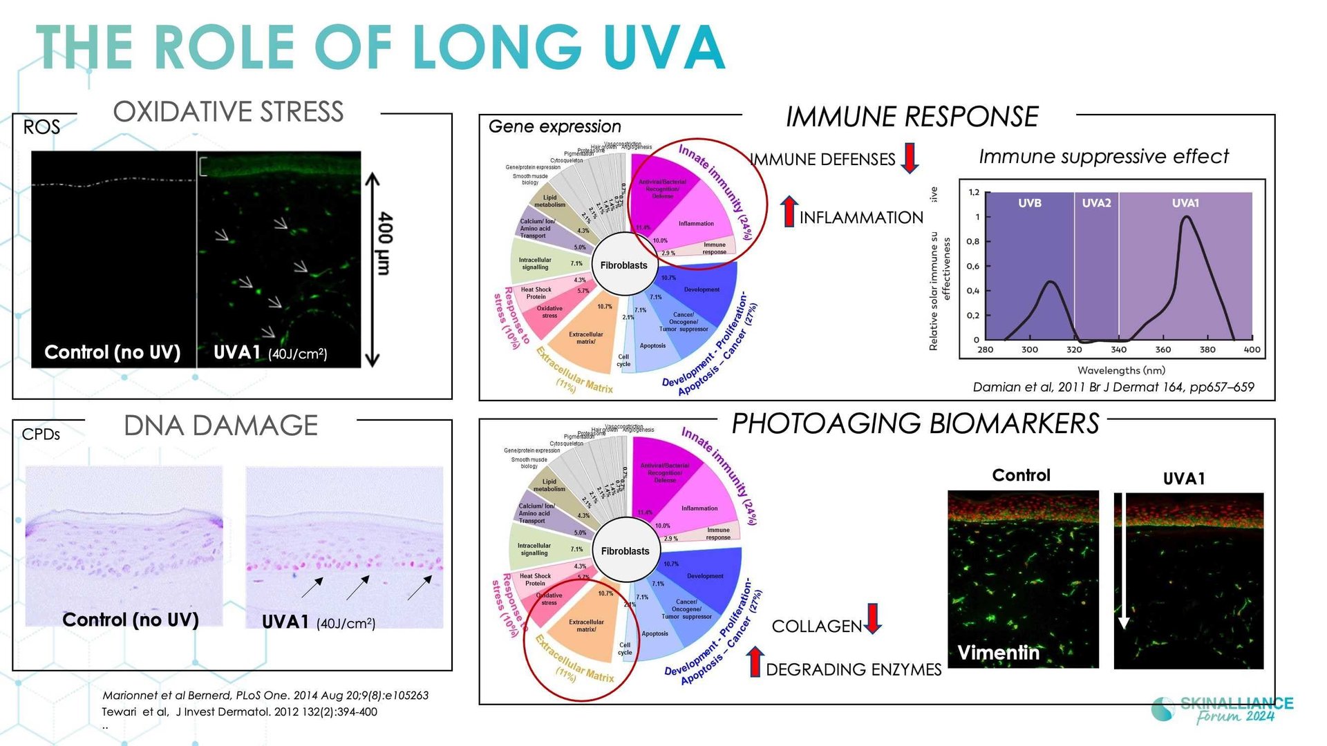 Innovating in photoprotection integrating long UVA, visible light, and skin colour diversity