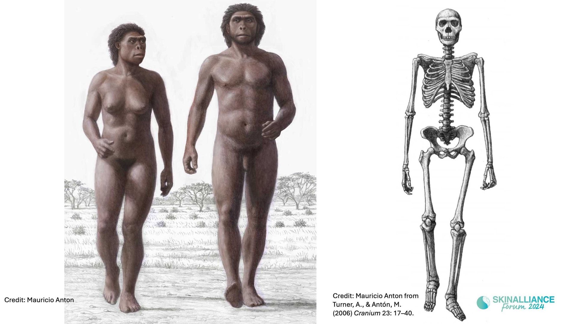 KEYNOTE: The evolution and many meanings of human skin color