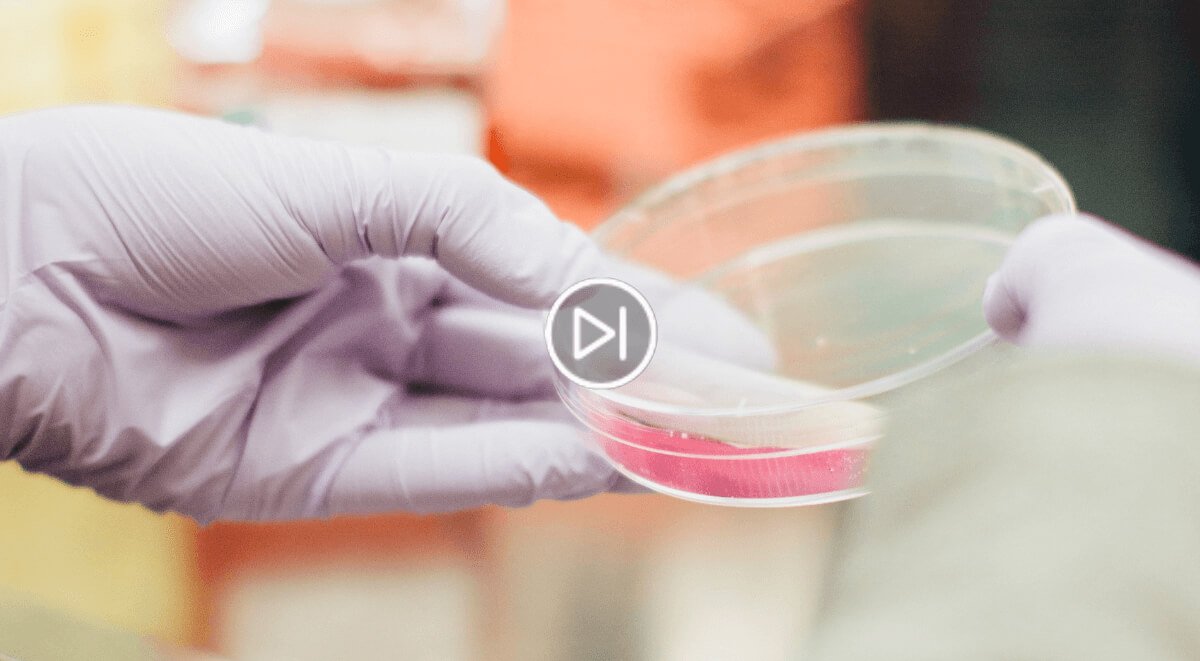 Role of microbiome in dermatological conditions