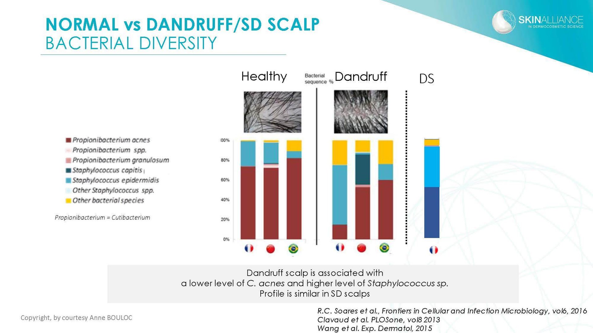 J1 Anne Bouloc - Cosmetics and Hair Care Scalp and Dandruff_Page_09