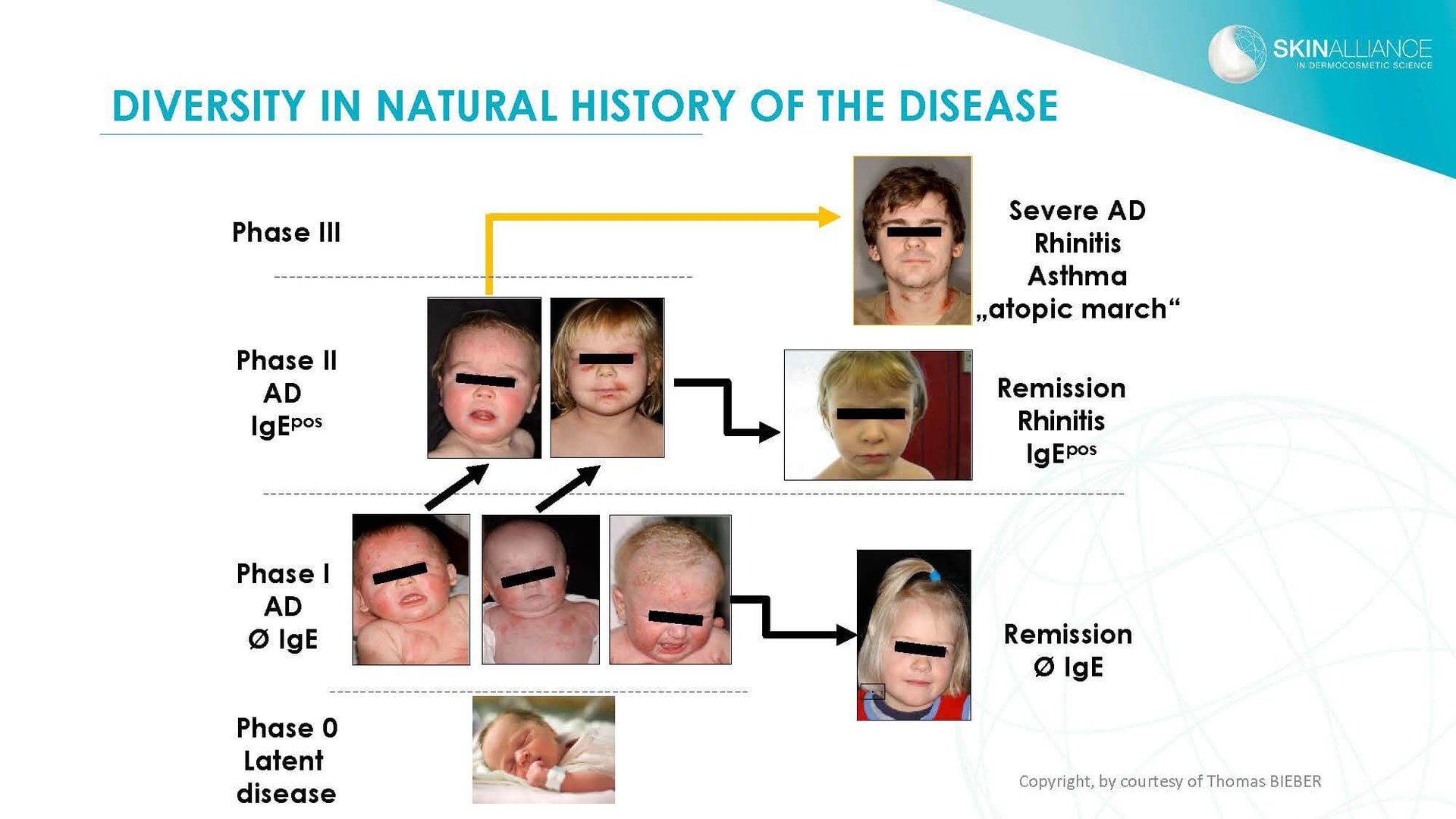 J2 Thomas Bieber - Cosmetics in Inflammatory Skin Diseases_Page_12