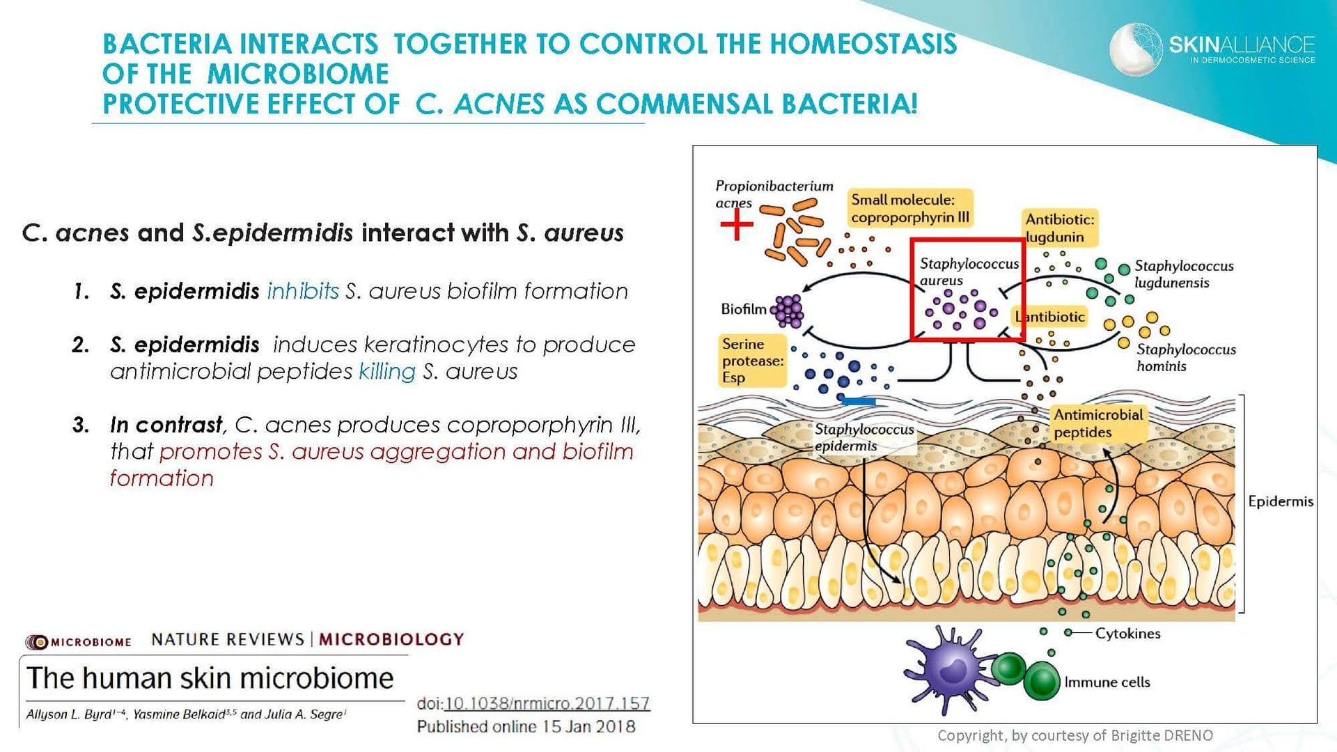 Dermocosmetics in Skin Acne and Rosacea Friend or Enemy_Page_10