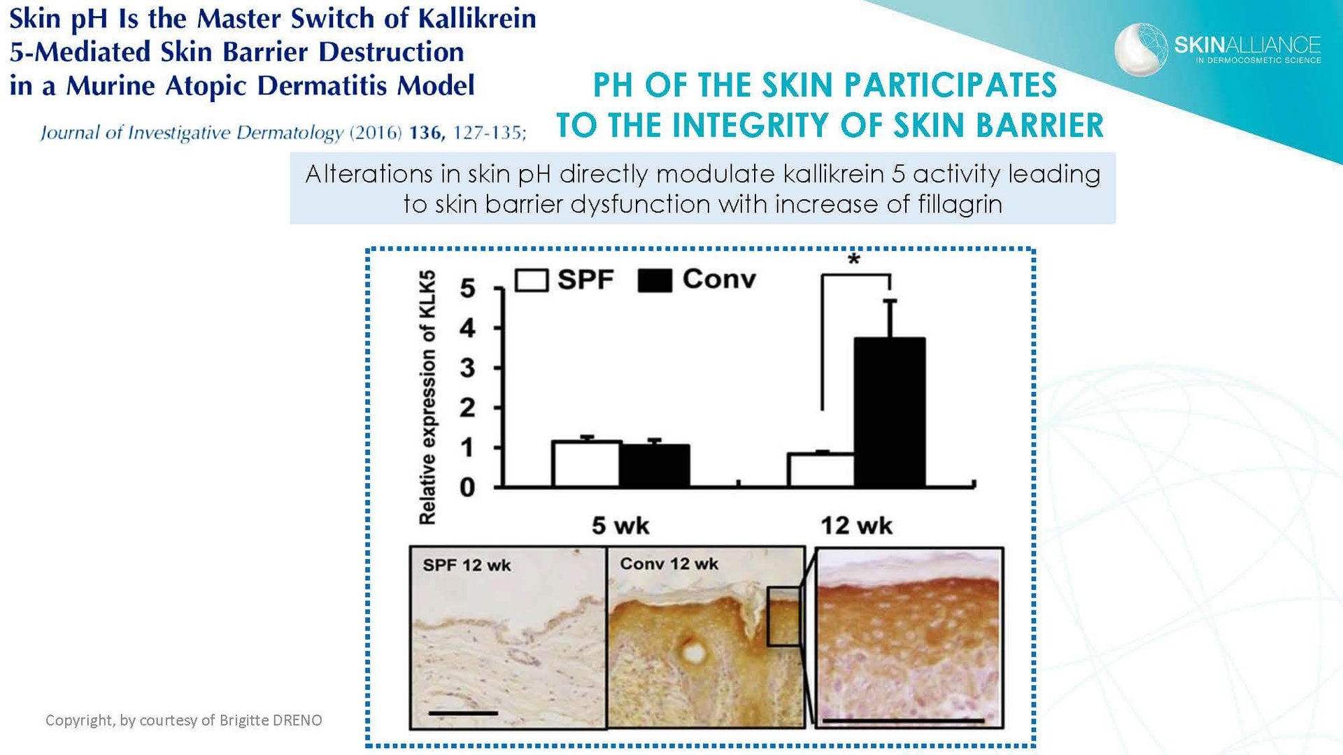 Dermocosmetics in Skin Acne and Rosacea Friend or Enemy_Page_15