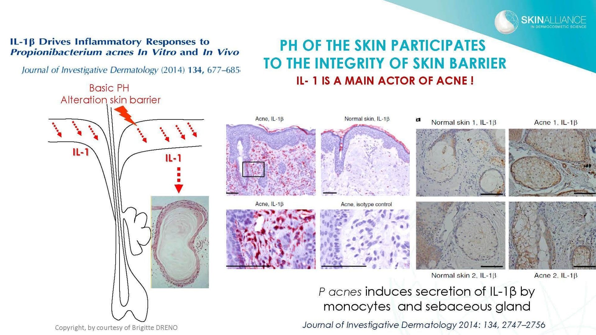 Dermocosmetics in Skin Acne and Rosacea Friend or Enemy_Page_16