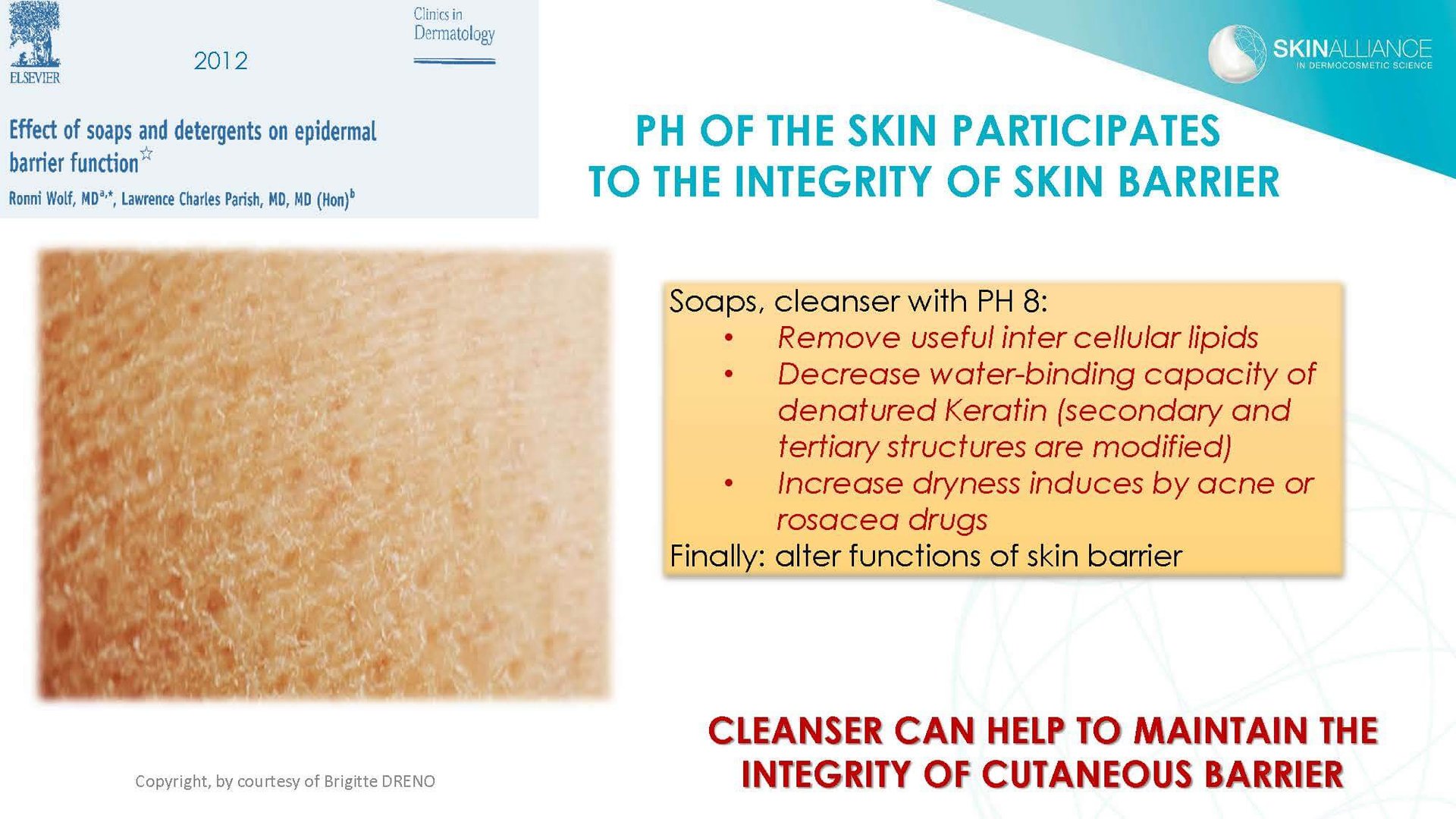Dermocosmetics in Skin Acne and Rosacea Friend or Enemy_Page_17