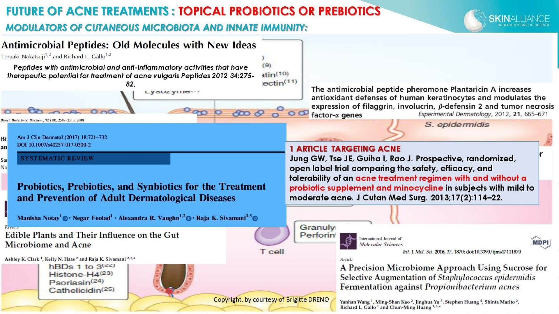 Dermocosmetics in Skin Acne and Rosacea Friend or Enemy_Page_27