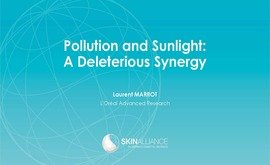 Pollution and sunlight: A deleterious synergy