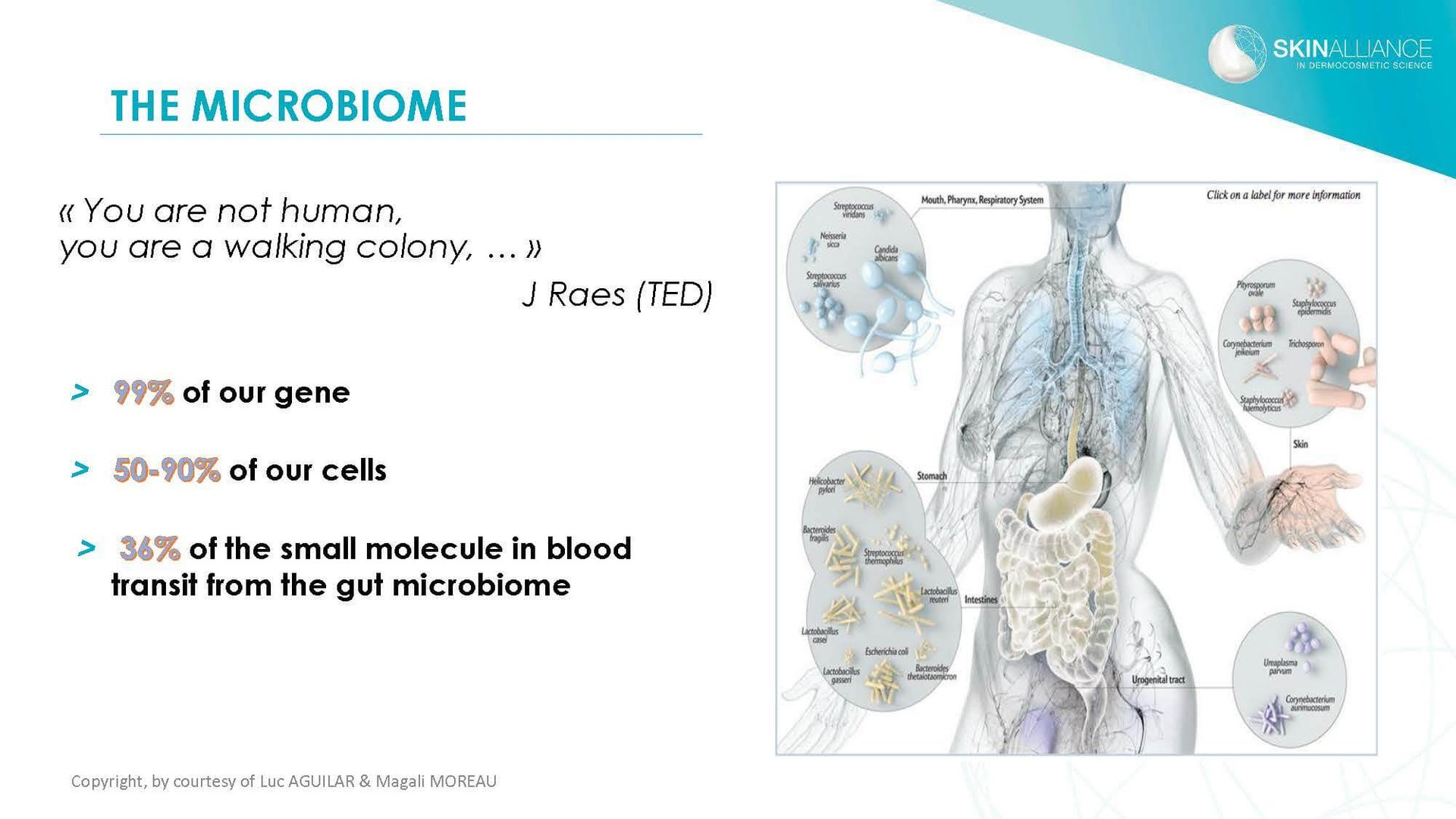 J2 Luc Aguilar _ Magali Moreau - Understanding the Skin Microbiome_Page_04