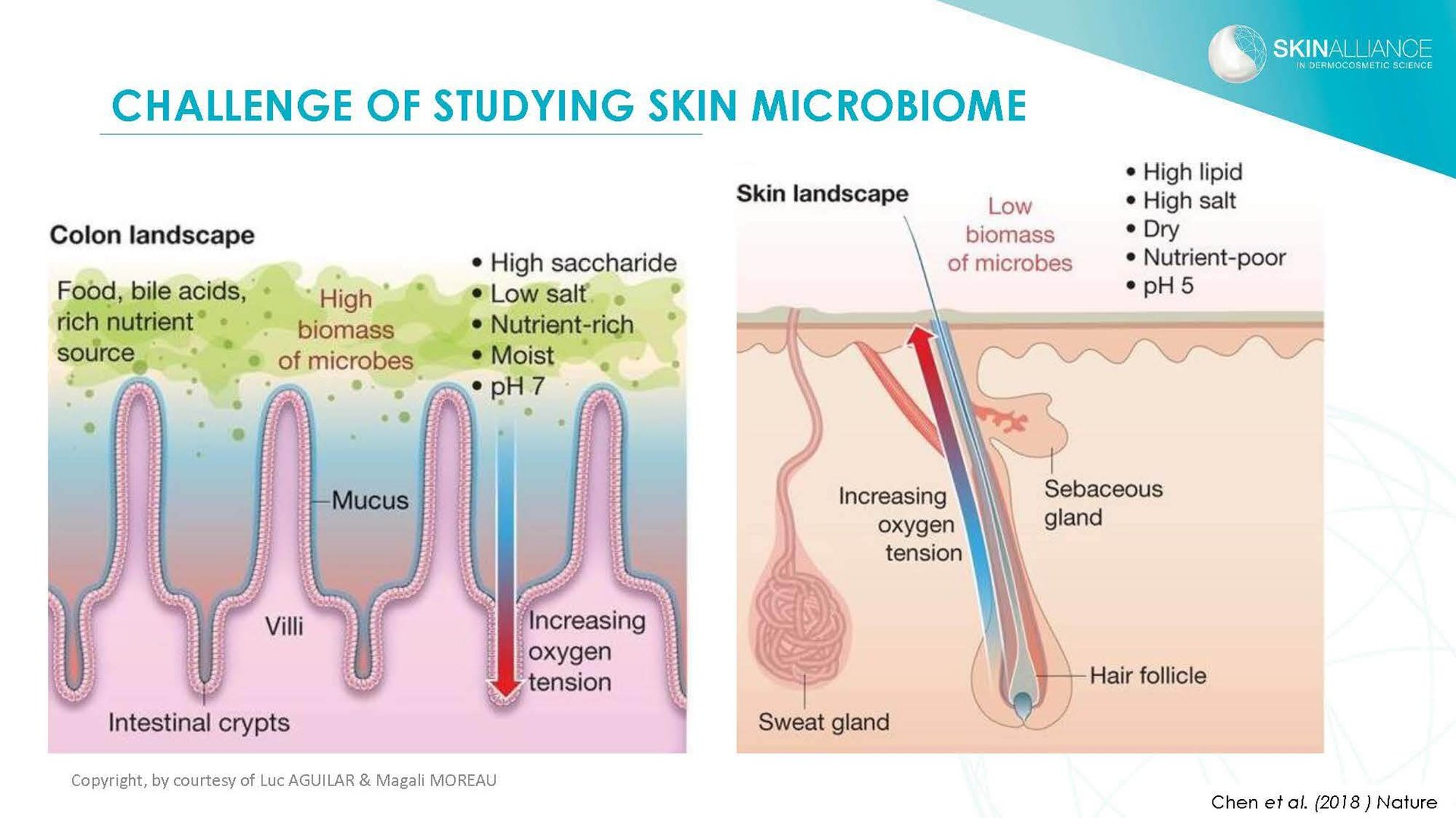 J2 Luc Aguilar _ Magali Moreau - Understanding the Skin Microbiome_Page_05