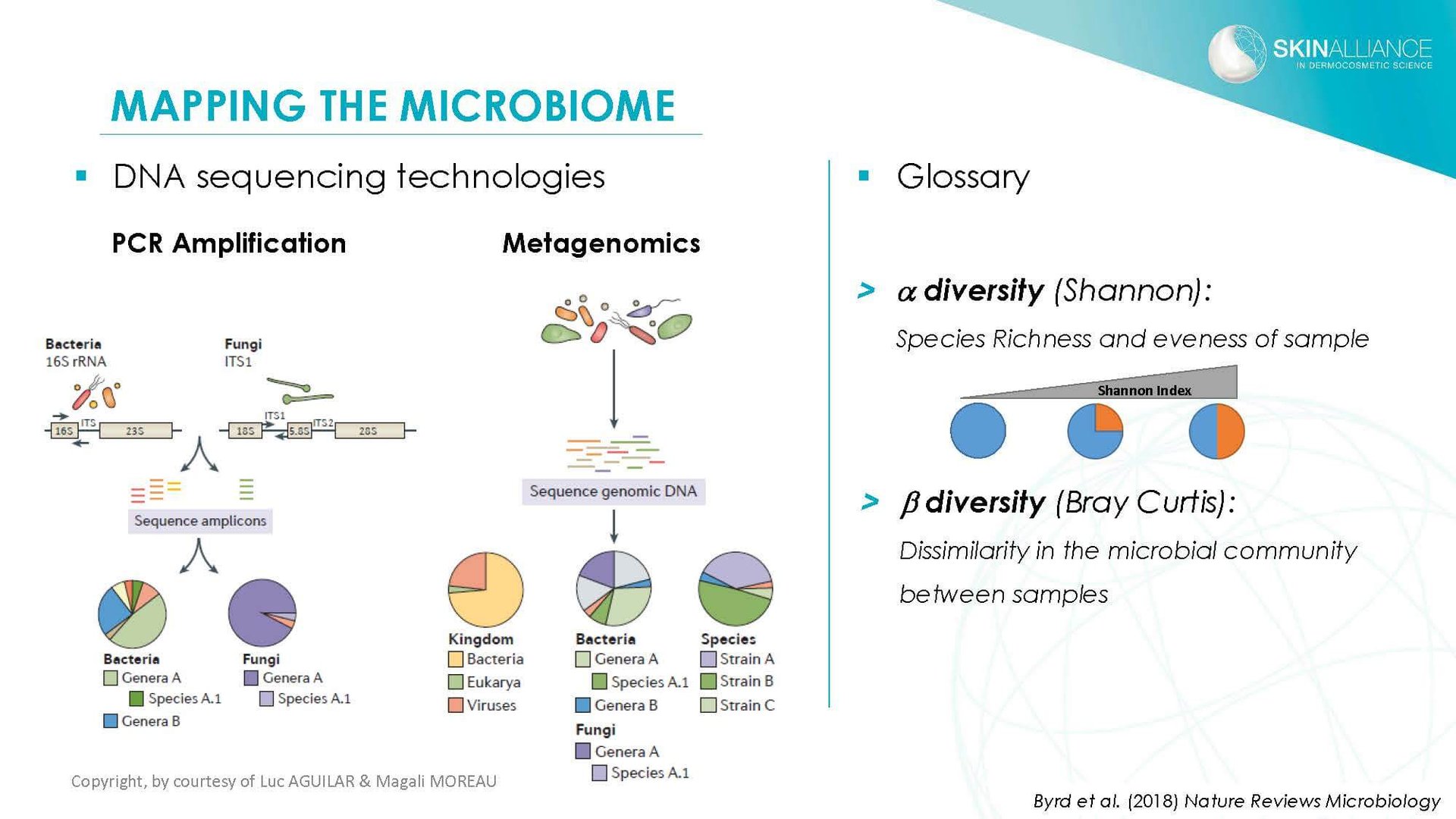 J2 Luc Aguilar _ Magali Moreau - Understanding the Skin Microbiome_Page_06