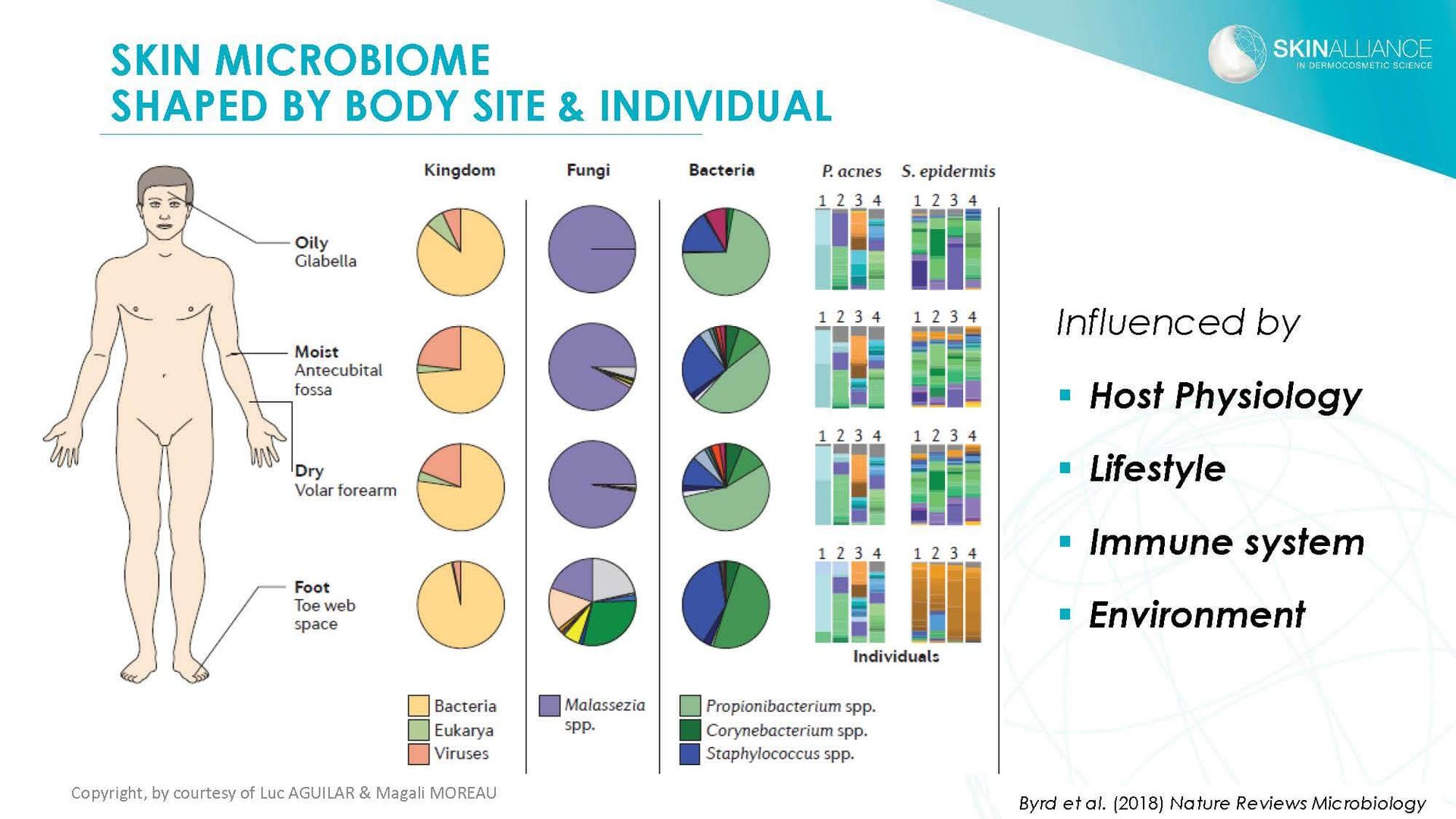 J2 Luc Aguilar _ Magali Moreau - Understanding the Skin Microbiome_Page_07