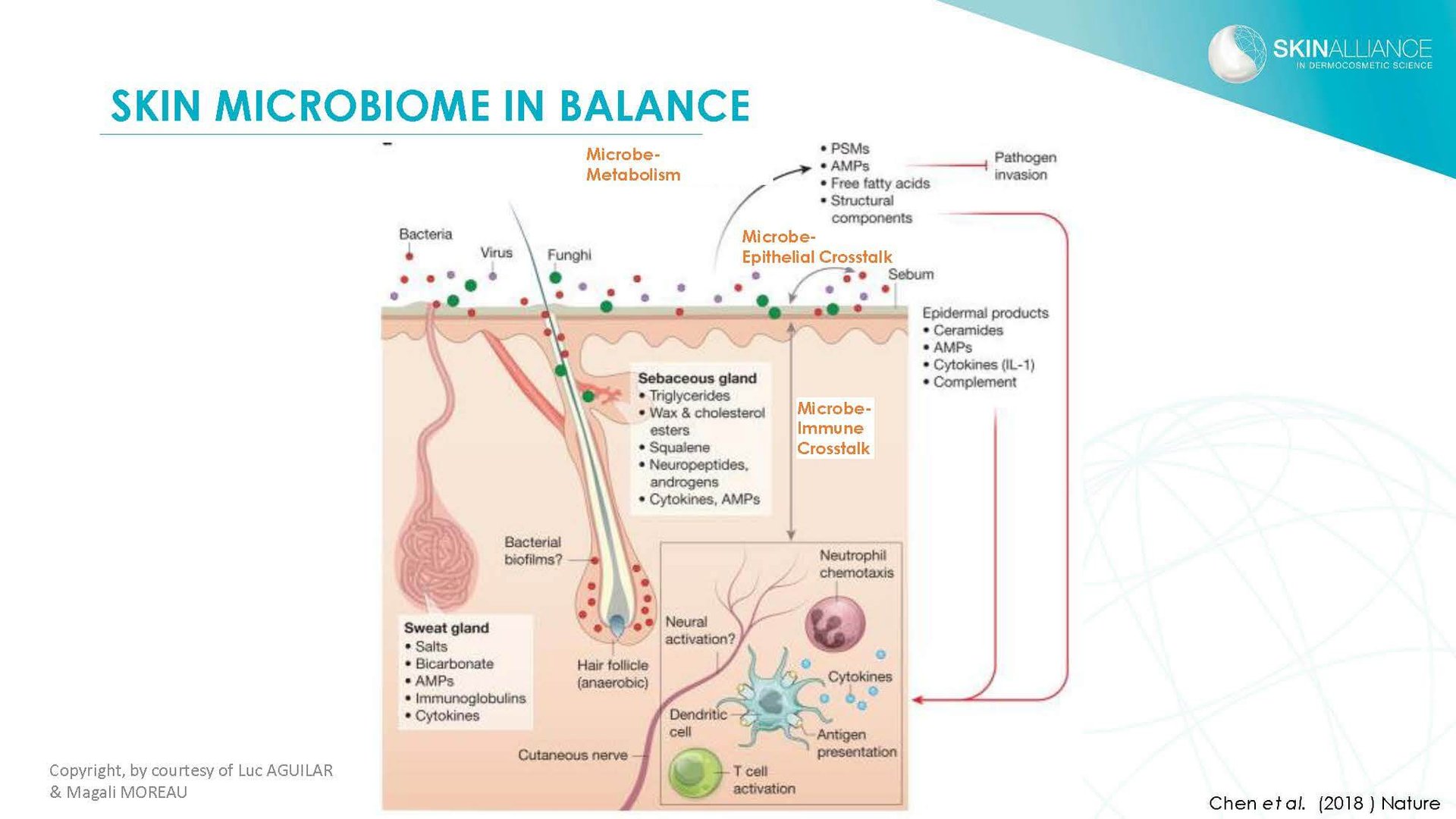 J2 Luc Aguilar _ Magali Moreau - Understanding the Skin Microbiome_Page_08