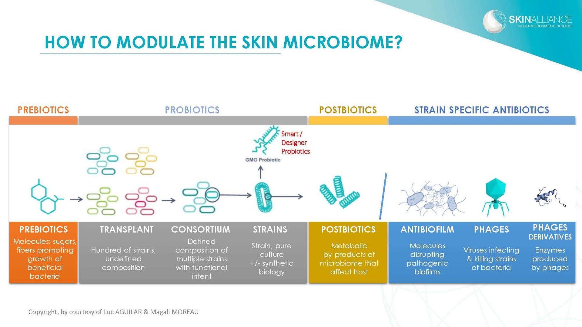 J2 Luc Aguilar _ Magali Moreau - Understanding the Skin Microbiome_Page_18