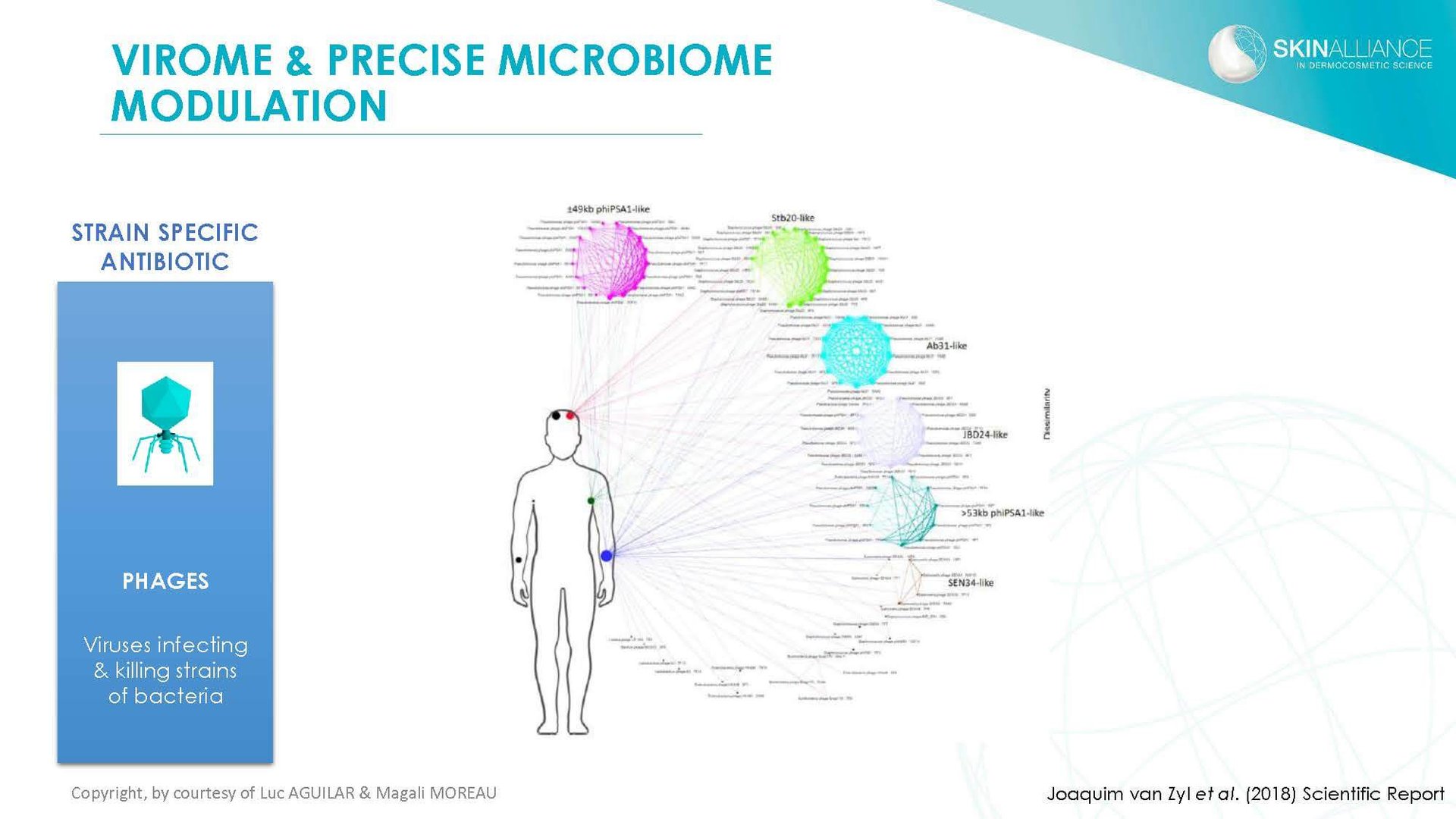 J2 Luc Aguilar _ Magali Moreau - Understanding the Skin Microbiome_Page_21