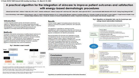 AAD 2024 Poster image